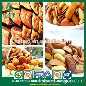 Bulk China Direct Hot Sale Price Open Pine Nuts in Shell